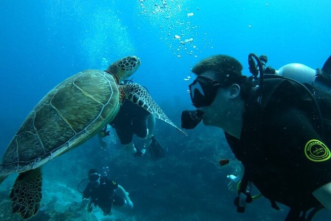 Punta Cana Reef Diving Adventure Explore Underwater Wonders - The Sum Up: Who Should Sign Up?
