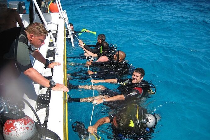 Punta Cana Reef Diving Adventure Explore Underwater Wonders - Detailed Review of the Punta Cana Reef Diving Adventure
