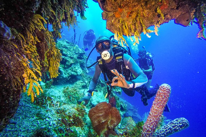 Punta Cana Reef Diving Adventure Explore Underwater Wonders - Frequently Asked Questions