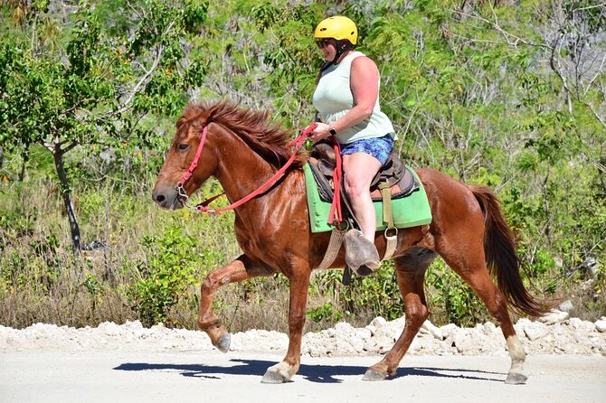 Horseback Riding on the Stunning Beaches of Punta Cana - Practical Considerations for Your Ride