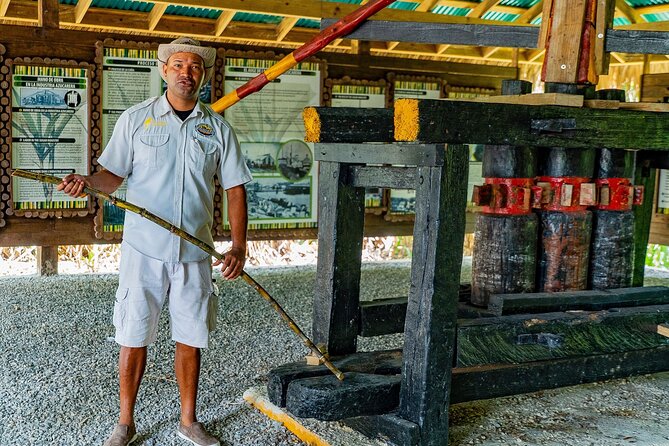 Dominican Safari Adventure: Culture, Nature & Macao Beach - What’s Included and What to Keep in Mind