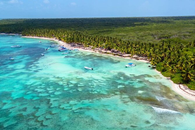 Saona Island Escape Caribbean Paradise Awaits - An Authentic Day at Saona Island: Your Caribbean Escape