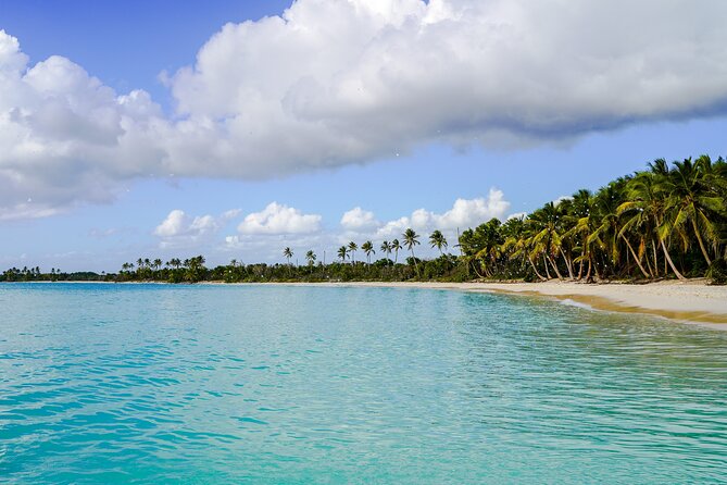 6 Hour Private Saona Island Tour with Snorkeling - The Sum Up: Who Should Book?