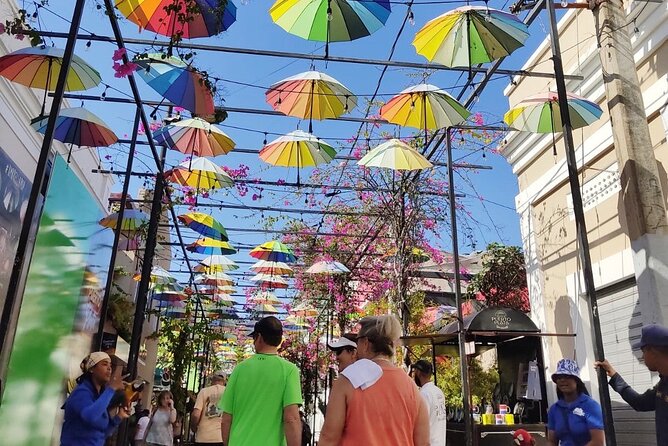 Private Guided Tour: Explore Puerto Platas Rich History! - Analyzing the Itinerary in Detail