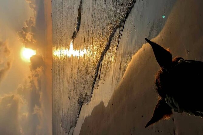 Private Sunset Horseback Riding in punta cana beach - FAQs