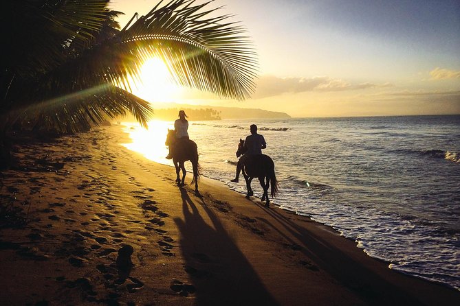 Private Sunset Horseback Riding in punta cana beach - Private Sunset Horseback Riding in Punta Cana Beach: A Treat for the Senses