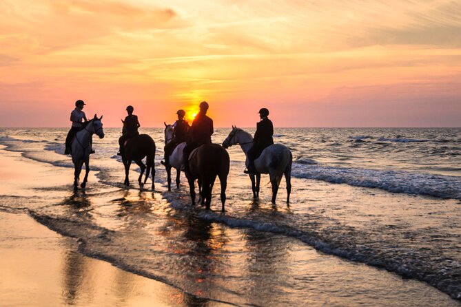 Horseback Riding Beach - What to Expect at Each Stop
