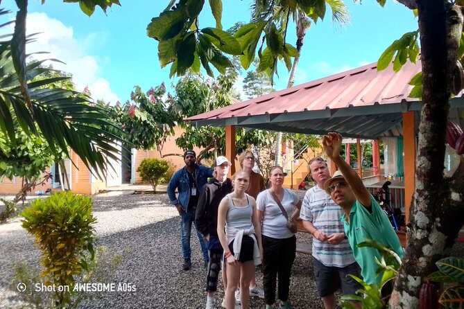 Private Half Day Tour in Dominican Republic with Local Guide - Exploring the Heart of Higüey: What the Tour Offers