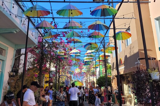 Puerto Plata Sightseeing and Zip Lines | Amber Cove & Taino Bay - Key Points