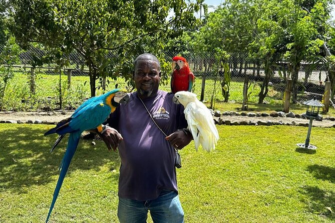 Puerto Plata Sightseeing and Countryside | Amber Cove & Taino Bay - Key Points