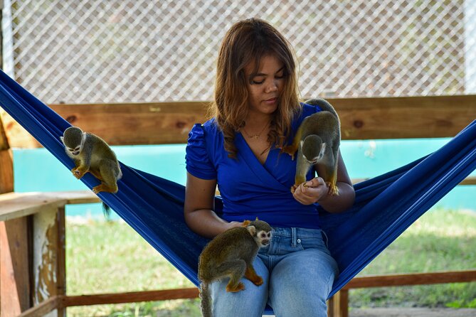 Monkey Encounter and Zip Line Tour from Amber Cove and Taino Bay - Who Should Consider This Tour?