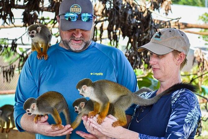 Monkey Encounter and Zip Line Tour from Amber Cove and Taino Bay - FAQ