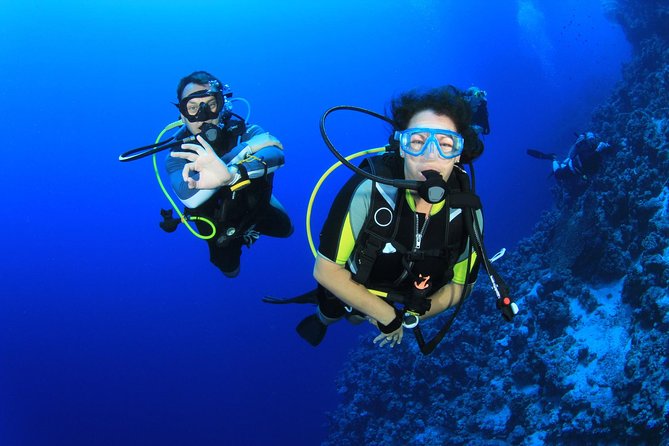 Diving for Certified Divers, 2 Tanks Sosúa Bay - Diving for Certified Divers, 2 Tanks Sosúa Bay — An In-Depth Review