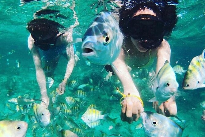 Full Day ATV, Coffee, Chocolate Tasting & Party Boat - FAQ: Practical Questions About the Tour