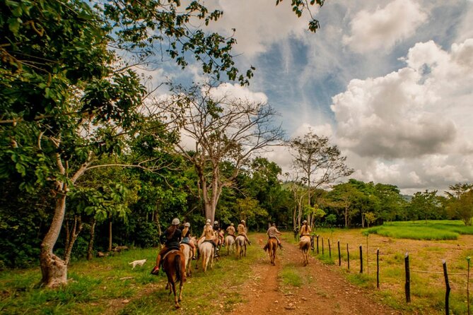 Punta Cana Jungle Adventure Day at La Hacienda Park - Who Will Love This Tour?