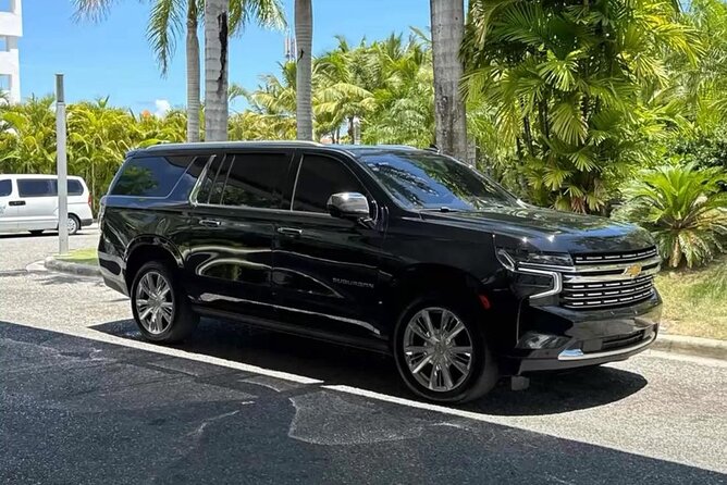 Private VIP Transfers from Punta Cana Airport to Hotels - Good To Know