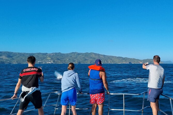 Samana Whales Watching Full Day Tour with Cayo Levantado and more - Exploring the Samaná Peninsula: A Closer Look at the Tour