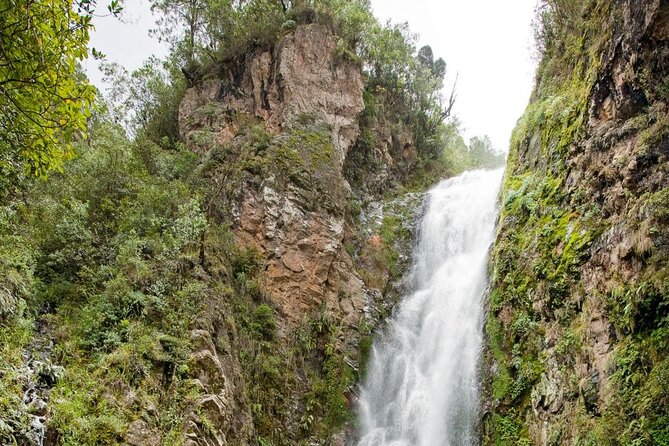 Private Tour in Constanza Dominican Republic for 15 people - Key Points