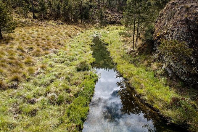 Private Tour in Constanza Dominican Republic for 15 people - Final Thoughts