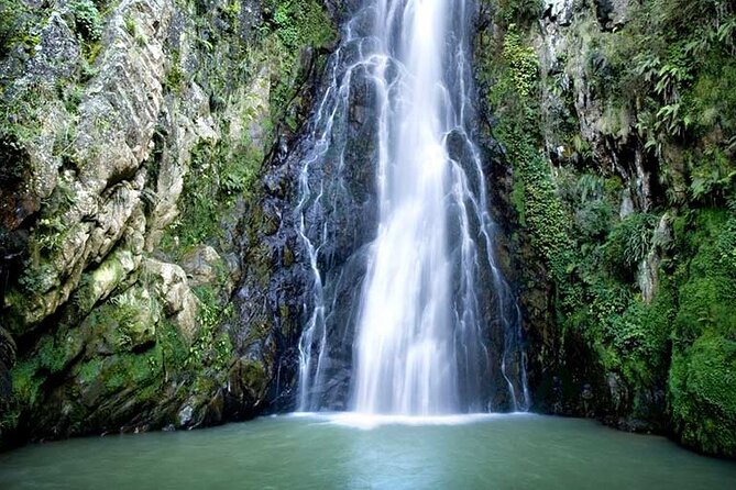 Private Tour in Constanza Dominican Republic for 15 people - Discover the Beauty of Constanza: A Private Dominican Republic Tour