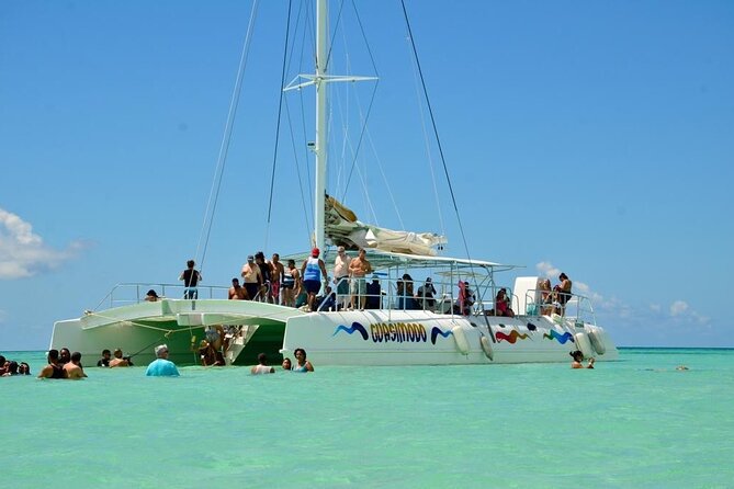 Saona Island Tour - Practical Details: Transportation, Timing, and Group Size