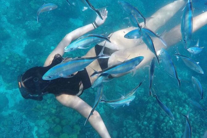 Saona Island Tour - An In-Depth Look at the Saona Island Tour