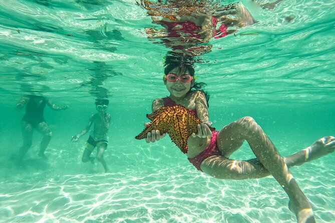 Saona Island Catamaran Cruise with Natural Pool, Lunch & Open Bar - Key Points