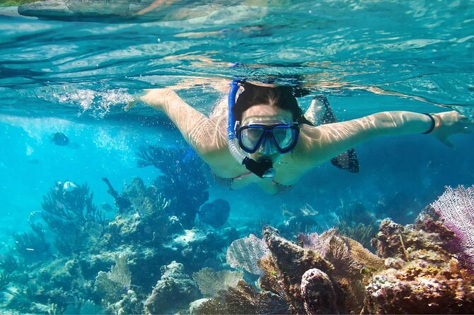 Catalina Island and Altos de Chavón From Punta Cana - Practical Tips