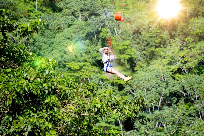 ATV, 4 Wheeler or Buggie Truck Tour in Punta Cana and Macao - A Deep Dive into the ATV, Buggie, or 4-Wheeler Tour