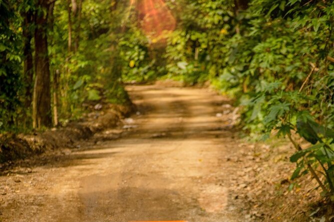 ATV, 4 Wheeler or Buggie Truck Tour in Punta Cana and Macao - What Travelers Say (Based on Available Reviews)