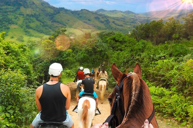 Dominican Roots: Unforgettable Cultural Adventure in Punta Cana - Who Would Enjoy This Tour?