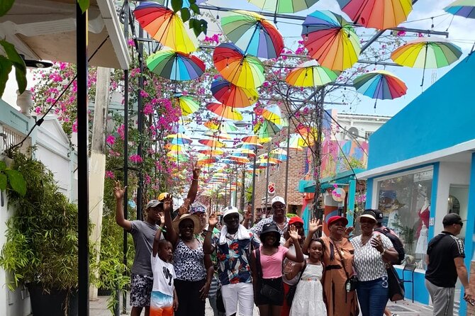 Exclusive Puerto Plata Tour: City Tour, Beach, and Adventure - Who is this tour best for?