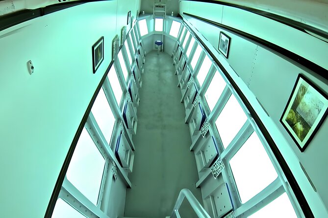 Saône Island with Semi Underwater and Snorkeling from Santo Domingo - What’s Included and What to Budget For