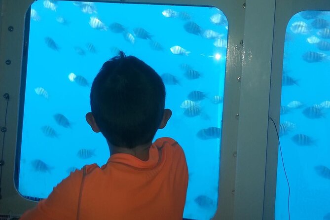 Saône Island with Semi Underwater and Snorkeling from Santo Domingo - Good To Know