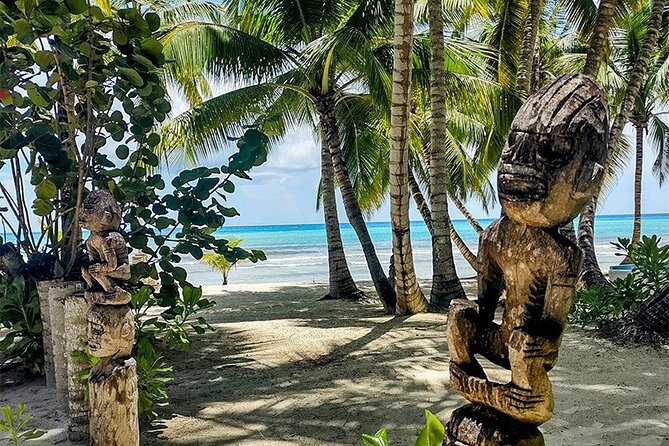 Saona Island Tour from Santo Domingo - What the Reviews Say