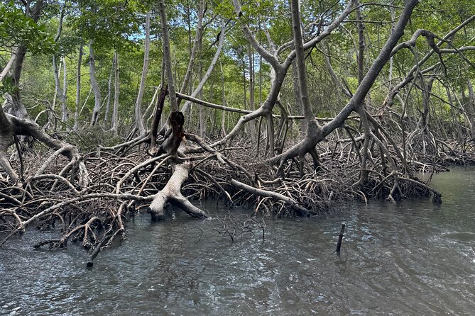 Haitian National Park and fell up - An Honest Look at the Haitian National Park and Fell Up Tour