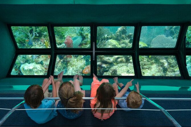 Glass-bottom boat tour to Punta Cana - Key Points