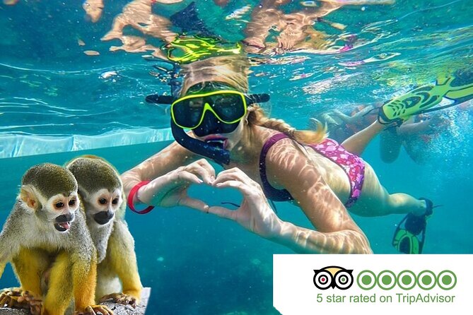 2X1: Snorkeling Tour tour plus MonkeyLand Puerto Plata - Key Points