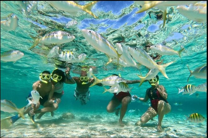 Island Snorkeling and Scenic Adventure in Dominican Republic - Final Thoughts