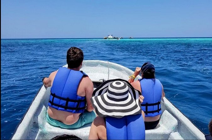 Island Snorkeling and Scenic Adventure in Dominican Republic - FAQ