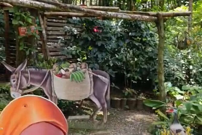 Puerto Plata City Tour with Lunch, Mountain and Factory Visits - Practical Considerations