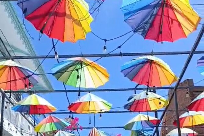 Damajagua Waterfall and Puerto Plata City Tour with Lunch - Who Should Book This Tour?