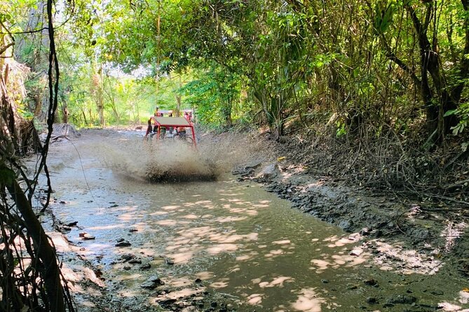 Escape to Buggies Adventure and Puerto Plata City Tour with Lunch - The Sum Up