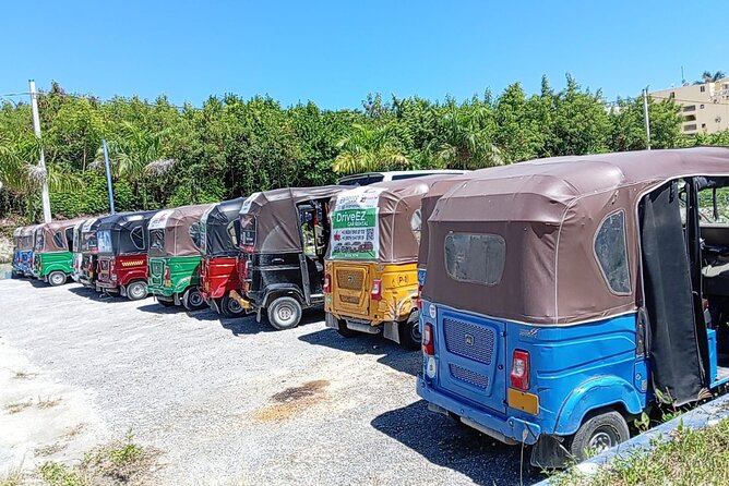 Exclusive Punta Cana Private City Tour - Who Will Love This Tour?