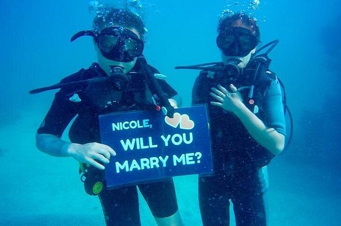 Underwater Marriage Proposal - The Sum Up
