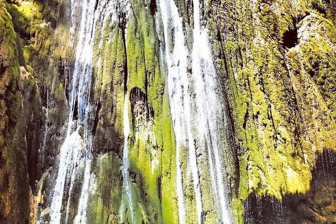 Private Hiking to Salto el Limon with a Local expert Guide from Samana - The Authenticity and Atmosphere