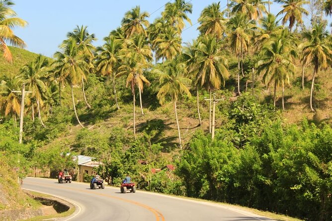 Private Coffee Trail ATV Tour in Samana - Key Points