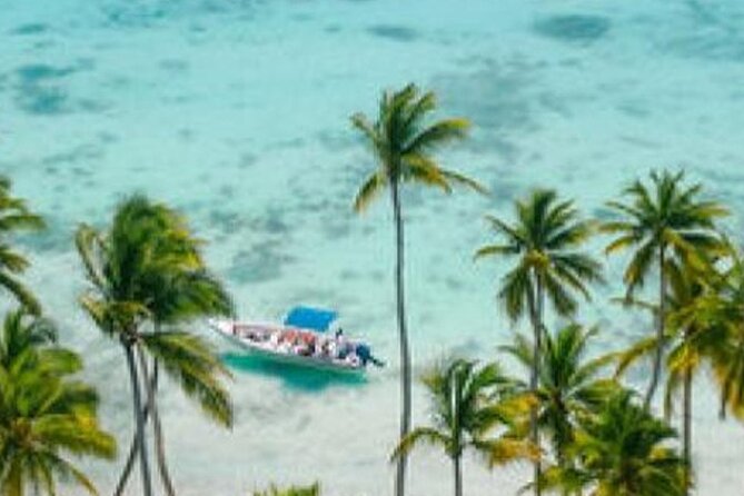 Saona Island Catamaran Speedboat Tour to a Dream Beach - Exploring the Tour from Start to Finish