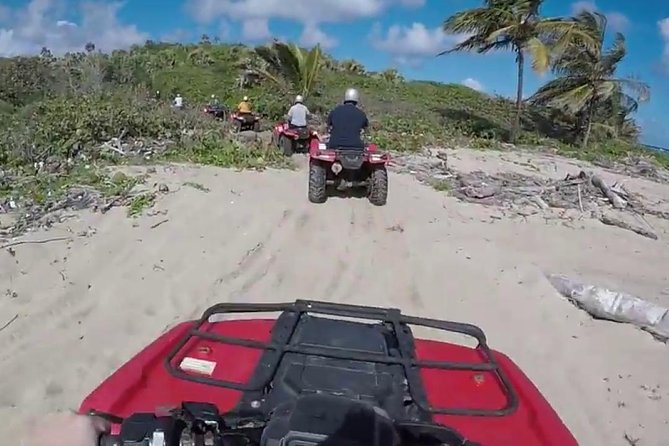 Puerto Plata Shore Excursion: ATV adventure for Amber Cove & Taino Bay Passenger - The Real Experience: Authenticity and Adventure
