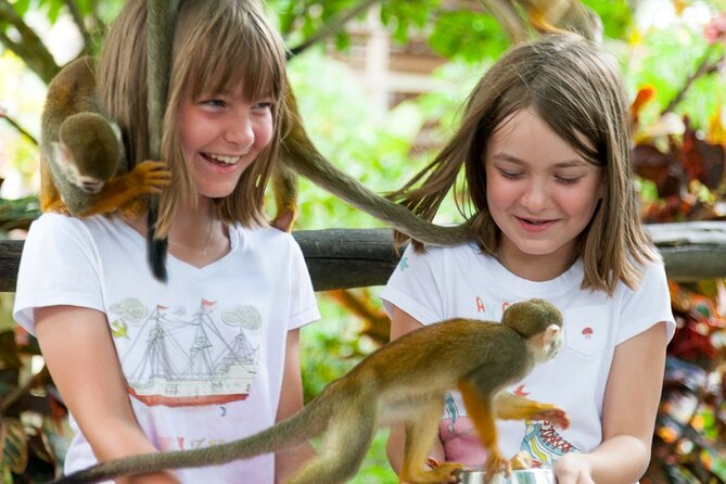 Punta Cana Monkeyland and Zipline Two Adventures in One Day - Final Thoughts